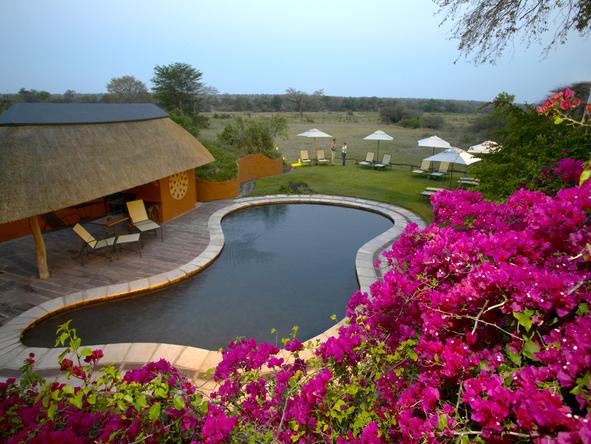 Mala Mala Sable Camp - Pool 